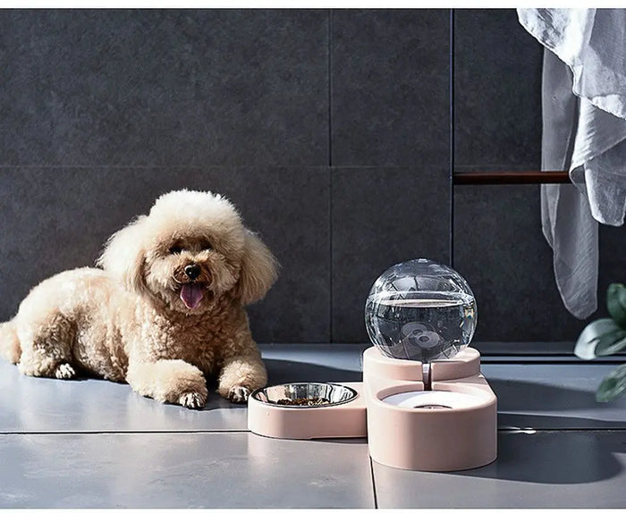 Dog & Cat Feeder – Large Auto Water Fountain with Food Bowl