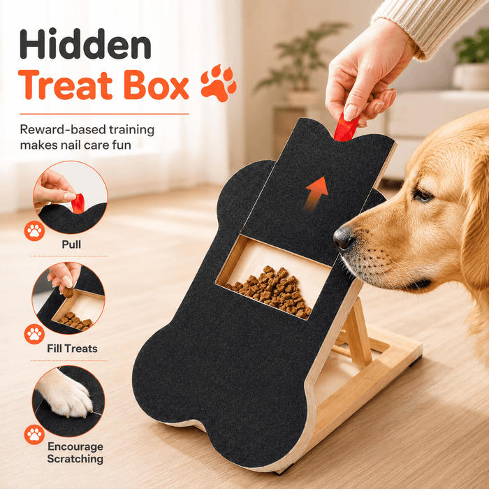 Dog Nail Scratch Board with Hidden Treat Box Fursera