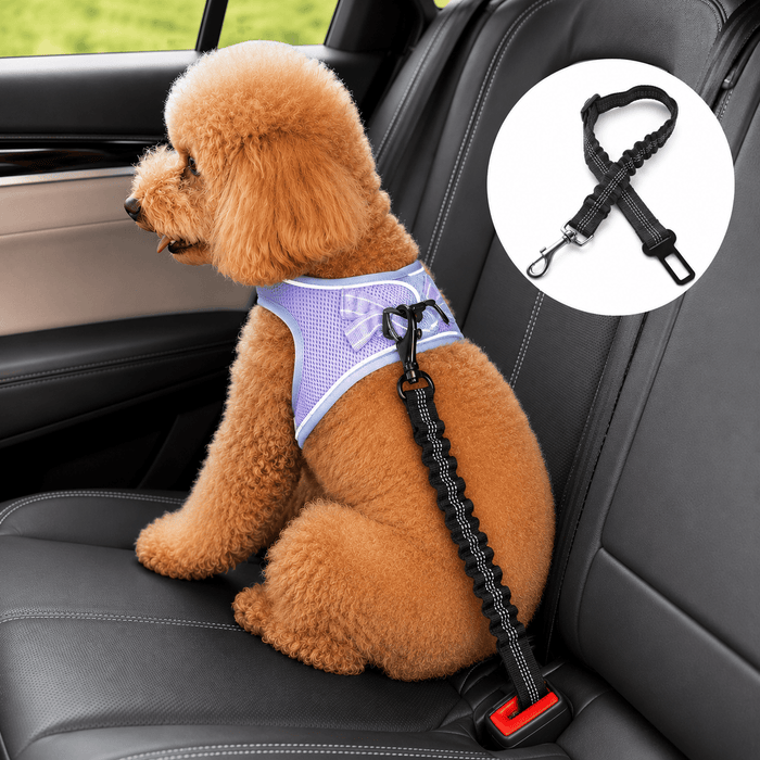 Dog Seat Belt – Shockproof Adjustable Car Safety Leash