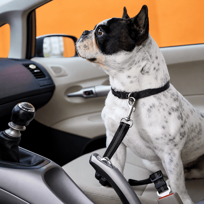 Dog Seat Belt – Shockproof Adjustable Car Safety Leash
