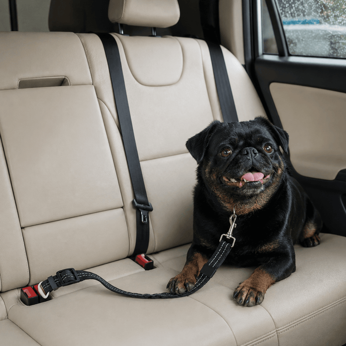 Dog Seat Belt – Shockproof Adjustable Car Safety Leash