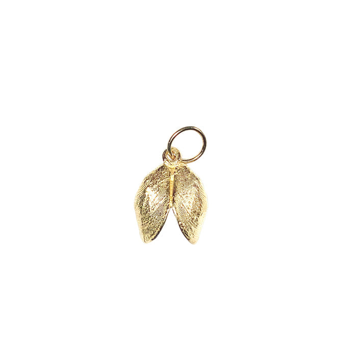 Double Zebra Mussel Charm