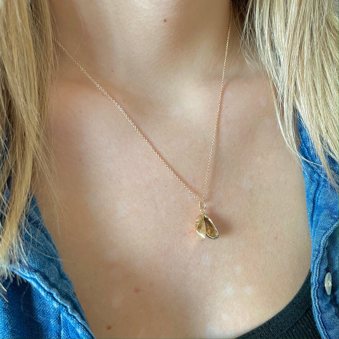 Double Zebra Mussel Necklace