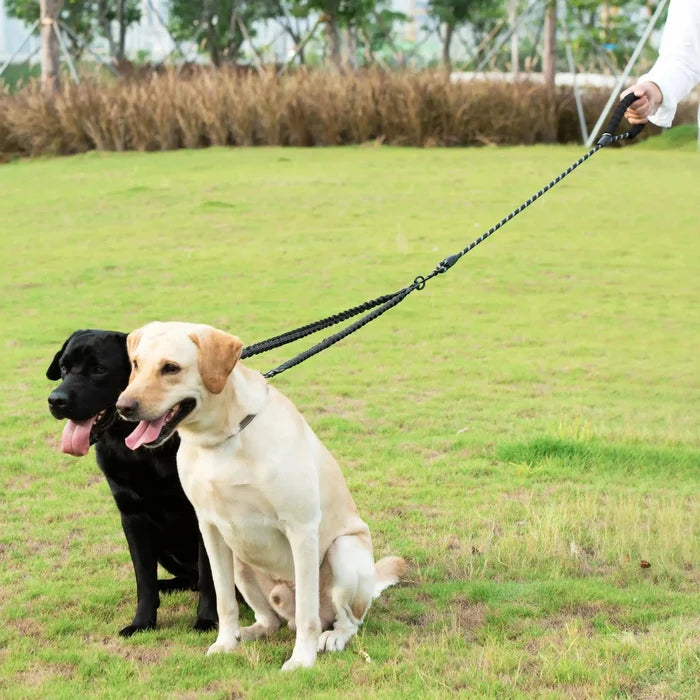 Dual Dog Leash – No-Tangle 360° Swivel Bungee Leash for Two Dogs