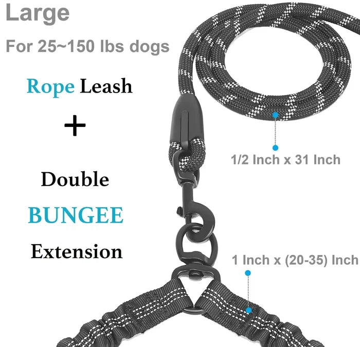 Dual Dog Leash – No-Tangle 360° Swivel Bungee Leash for Two Dogs