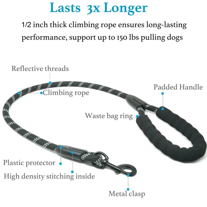 Dual Dog Leash – No-Tangle 360° Swivel Bungee Leash for Two Dogs