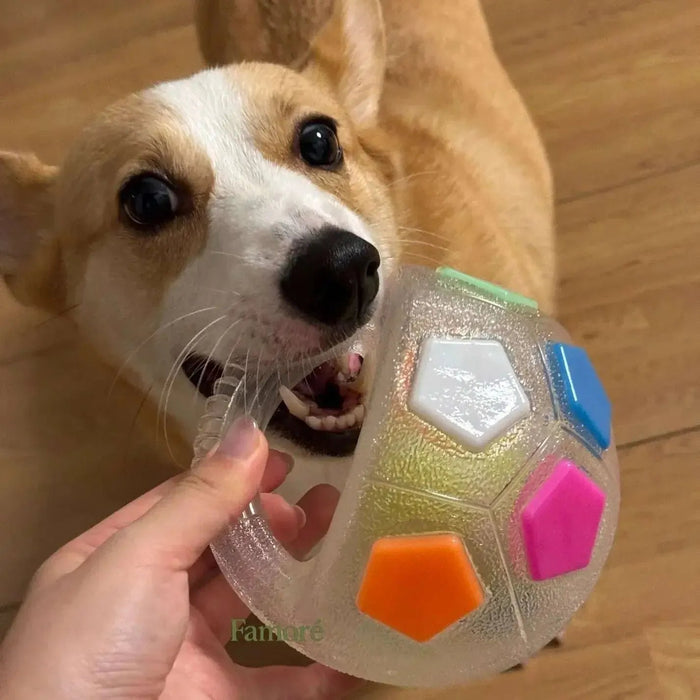 Durable Dog Toy Ball – Stress Relief Chew & Play Toy