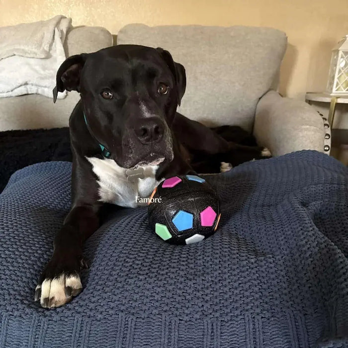 Durable Dog Toy Ball – Stress Relief Chew & Play Toy