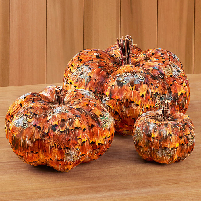 Feathery Fall Pumpkins