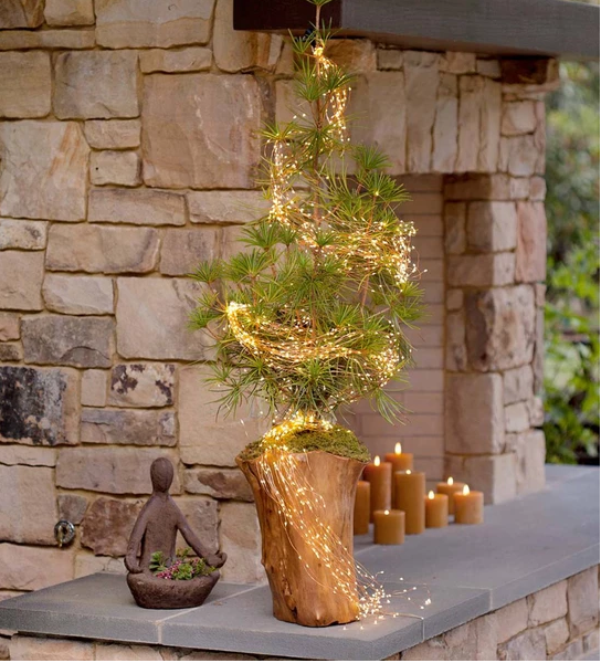 Firefly Bunch Lights
