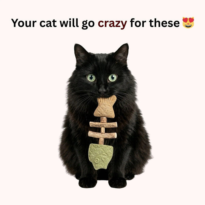 Fish Bone Cat Dental Chew Toy