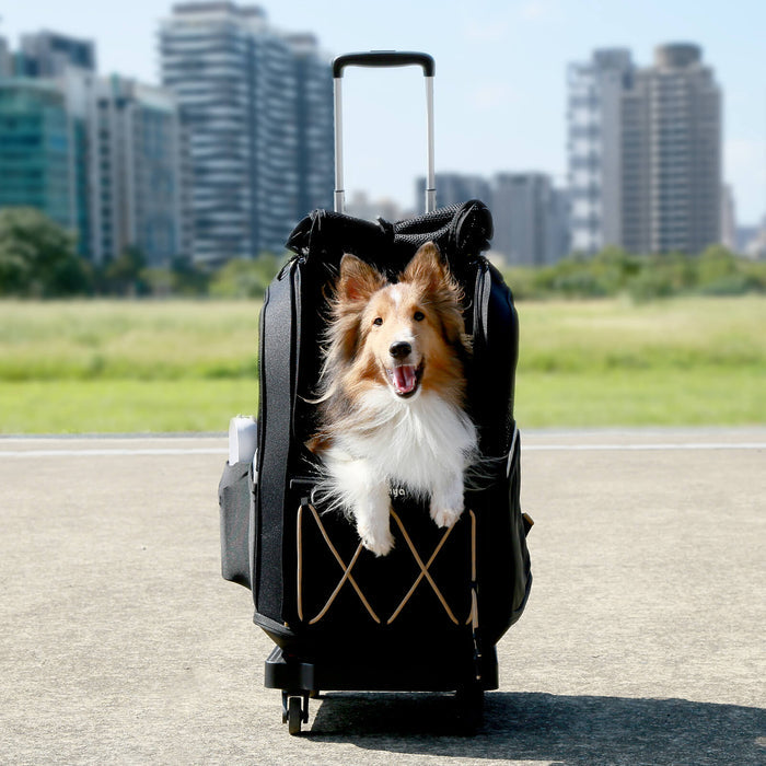 Folding Cart Trolley with Wheels
