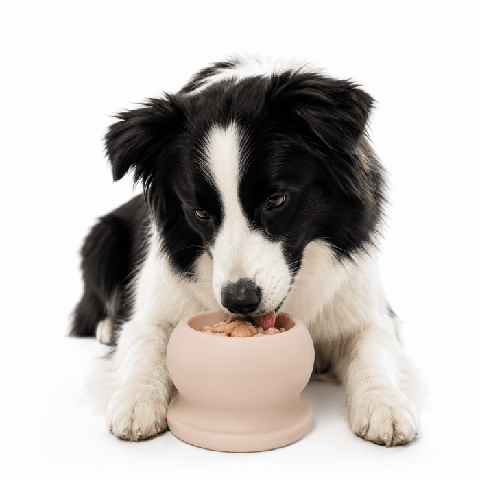 Frozen Fillable Dog Chew Toy Fursera