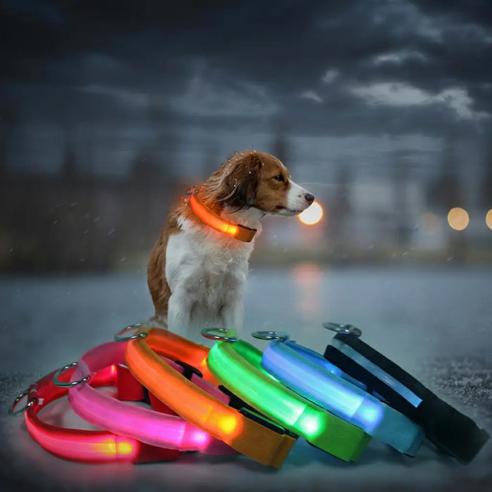 Glow Dog Collar – LED Safety Collar for Night Visibility