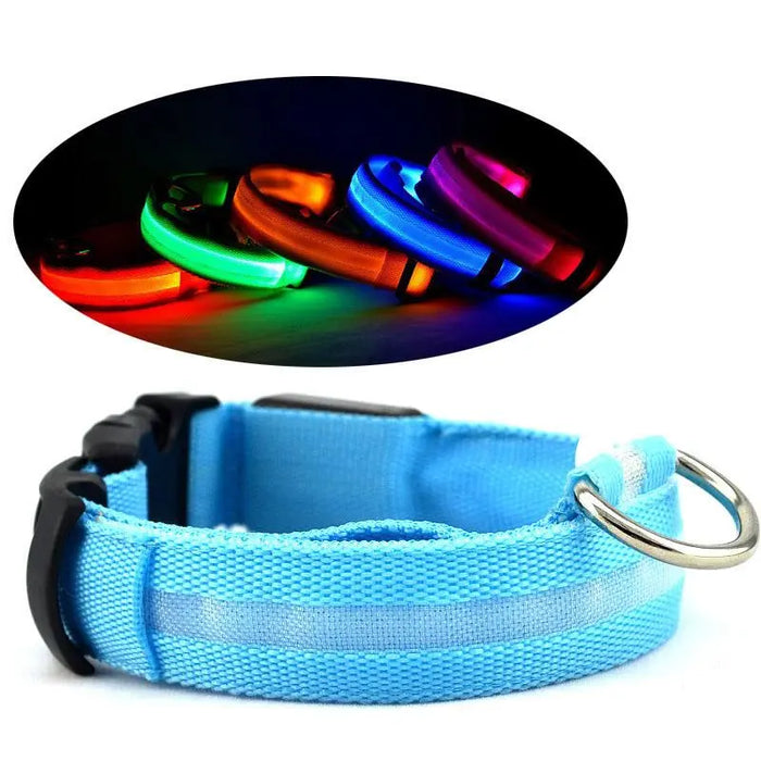 Glow Dog Collar – LED Safety Collar for Night Visibility