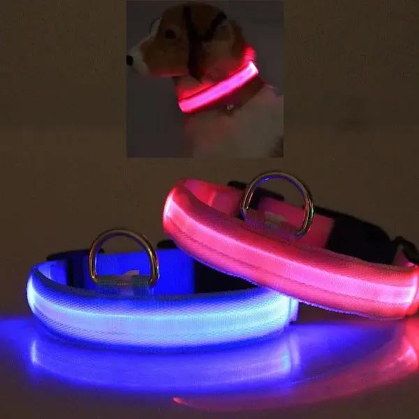 Glow Dog Collar – LED Safety Collar for Night Visibility