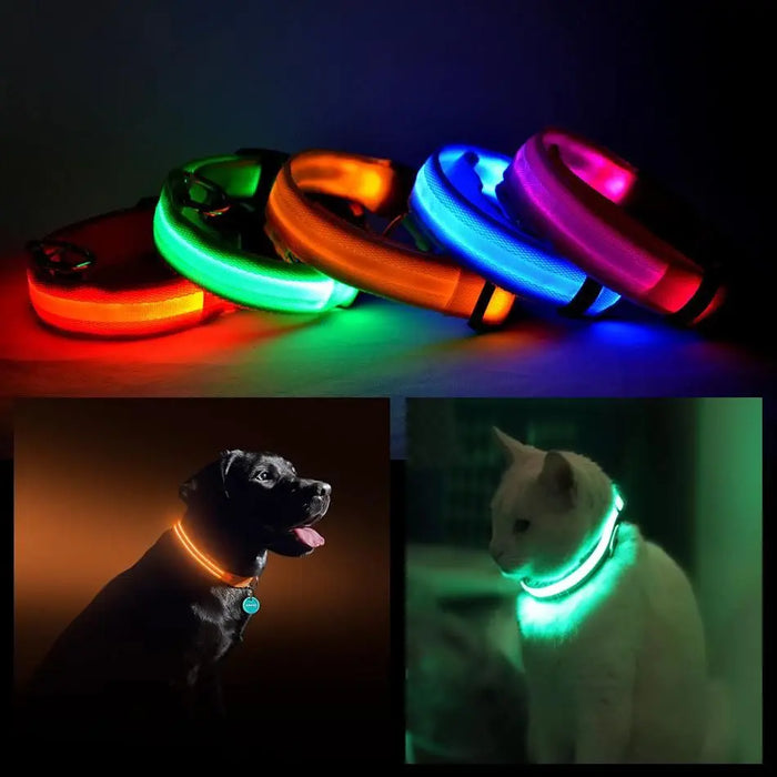 Glow Dog Collar – LED Safety Collar for Night Visibility