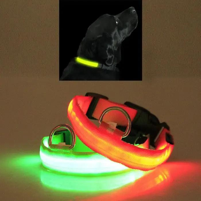Glow Dog Collar – LED Safety Collar for Night Visibility