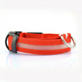 Glow Dog Collar – LED Safety Collar for Night Visibility