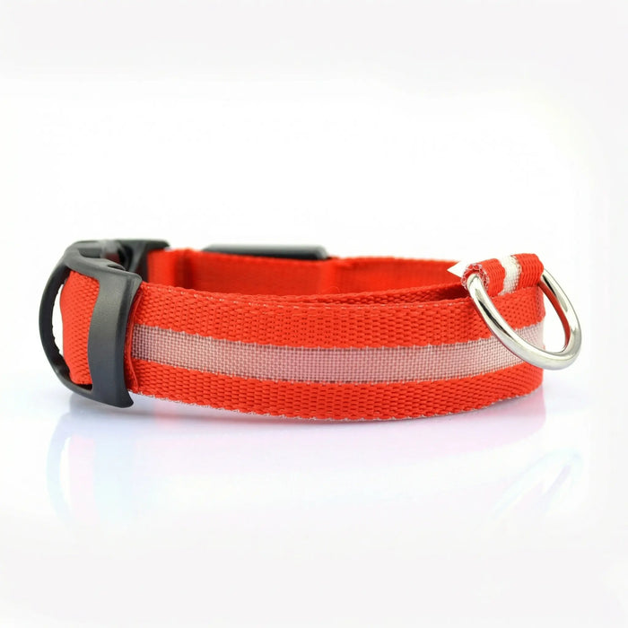 Glow Dog Collar – LED Safety Collar for Night Visibility