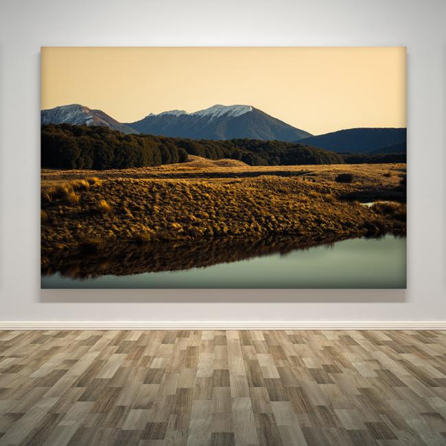 "Grassland"