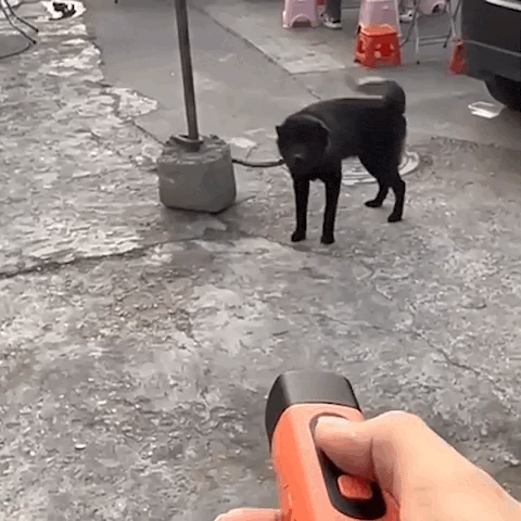 Handheld Ultrasonic Dog Trainer – Stop Barking Anytime, Anywhere