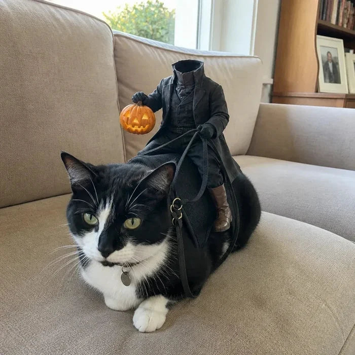 Headless Horseman Cat Costume – Funny 3D Halloween Pet Costume Fursera