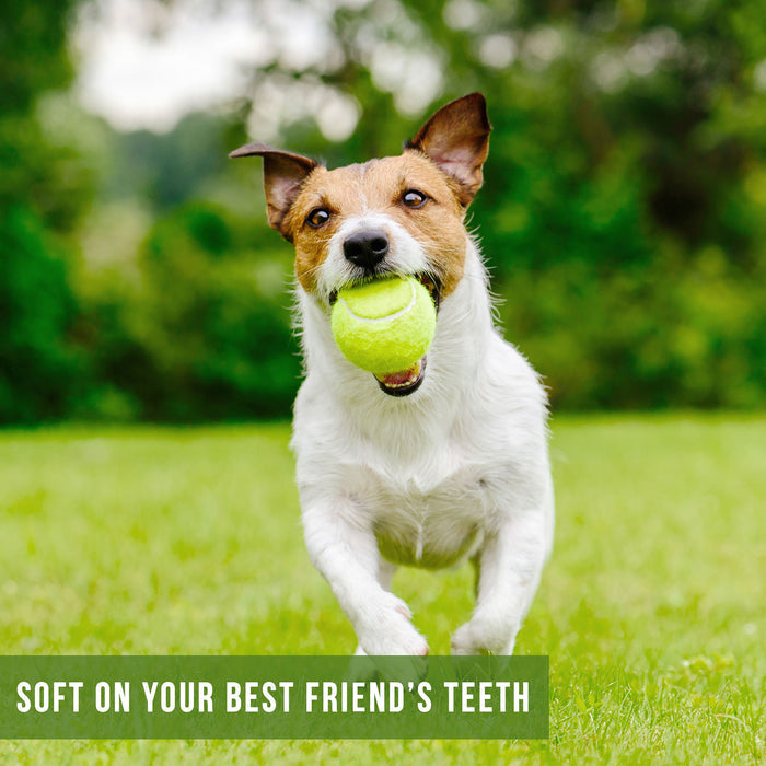 A small dog joyfully races across a grassy field with a Hyperpet Tennis Ball from the 4-Pack in its mouth, against a blurred green foliage background. Caption: Soft on your best friends teeth—perfect for fetch training and dog safety.