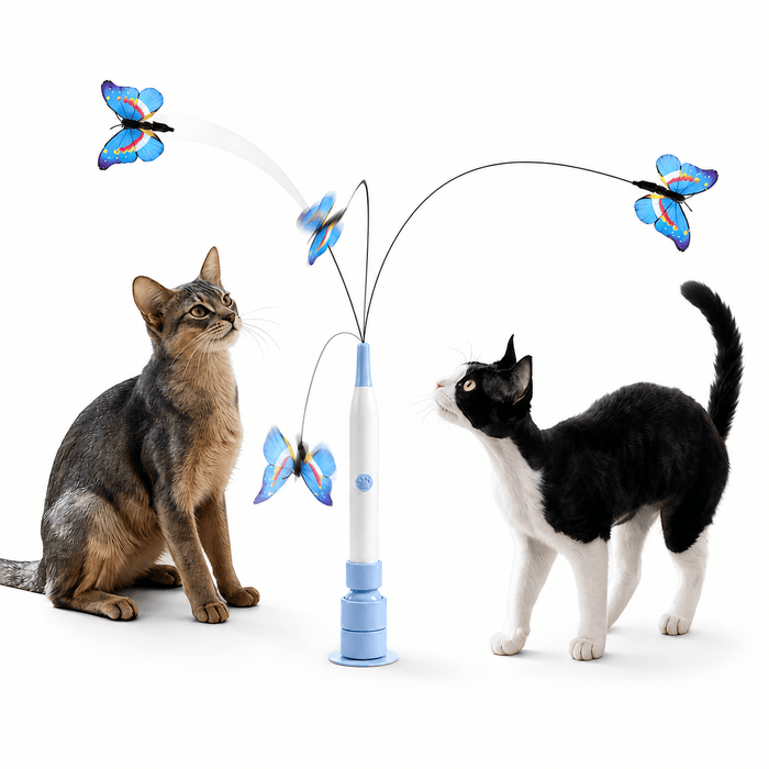 Interactive Butterfly Cat Toy – Automatic 360° Rechargeable Self-Play Teaser Fursera