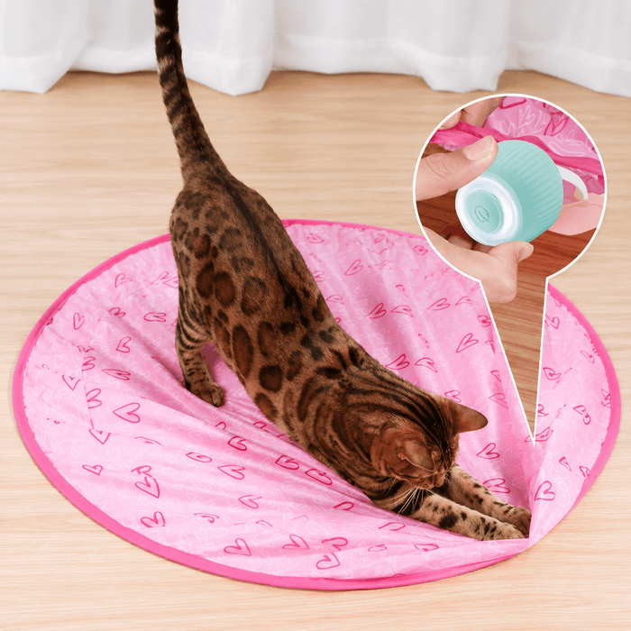 Interactive Cat Chase Toy – Engaging, Stimulating Play for Indoor Cats