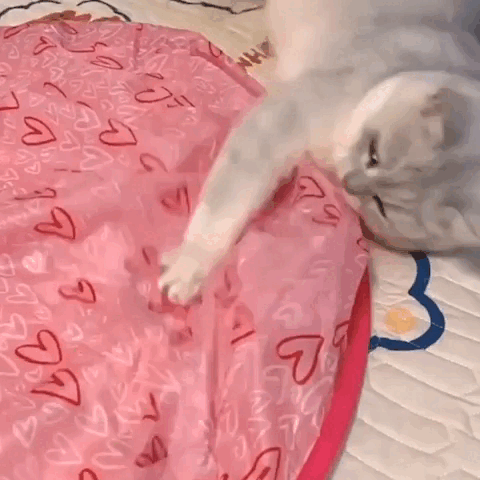 Interactive Cat Chase Toy – Engaging, Stimulating Play for Indoor Cats
