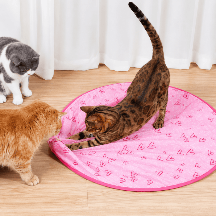 Interactive Cat Chase Toy – Engaging, Stimulating Play for Indoor Cats