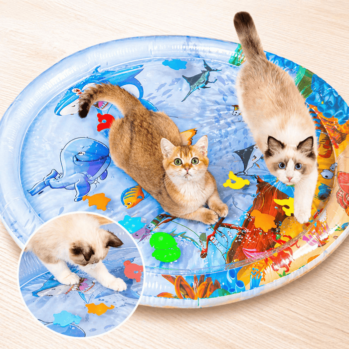 Interactive Cooling Water Play Mat for Cats