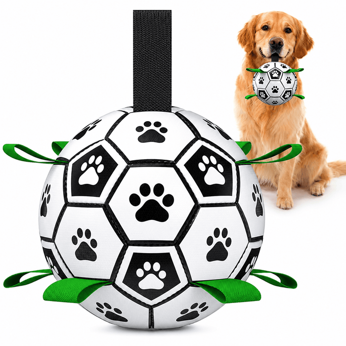 Interactive Dog Soccer Ball – Built for Active Outdoor Fun