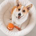 Interactive Dog Toy Ball – Automatic Moving Smart Ball for Dogs