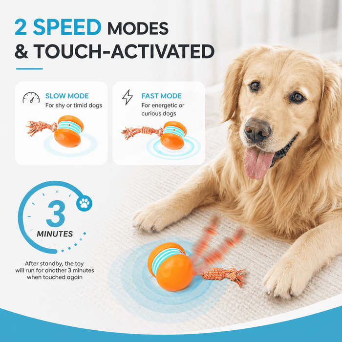 Interactive Dog Toy Ball – Automatic Moving Smart Ball for Dogs