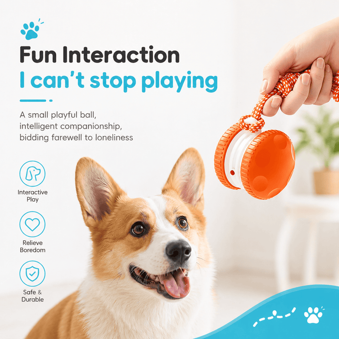Interactive Dog Toy Ball – Automatic Moving Smart Ball for Dogs