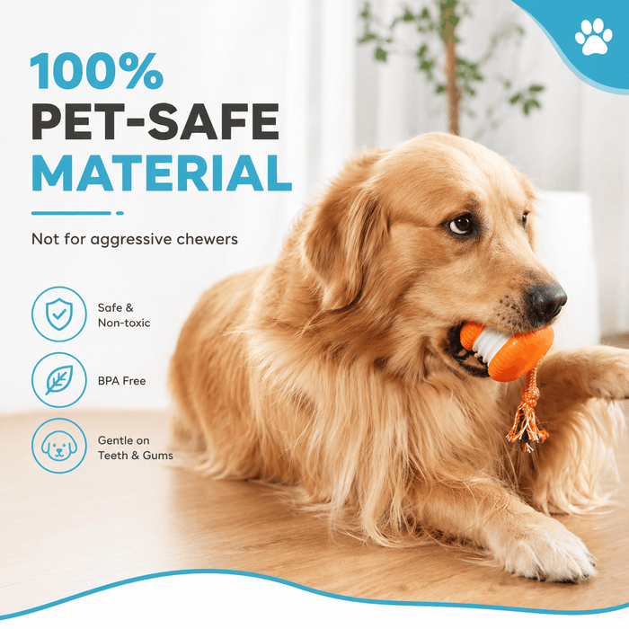 Interactive Dog Toy Ball – Automatic Moving Smart Ball for Dogs