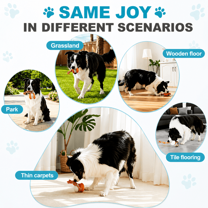 Interactive Dog Toy Ball – Automatic Moving Smart Ball for Dogs