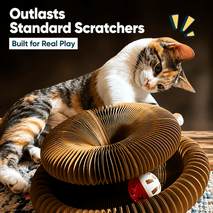 Interactive Honeycomb Cat Scratcher Lounge