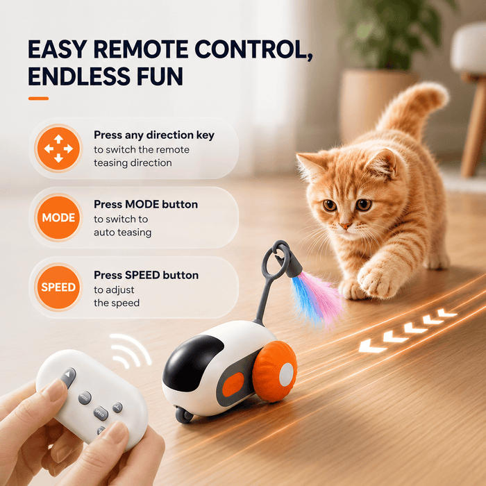 Interactive Remote Control Rechargeable Exercise Robot Toy