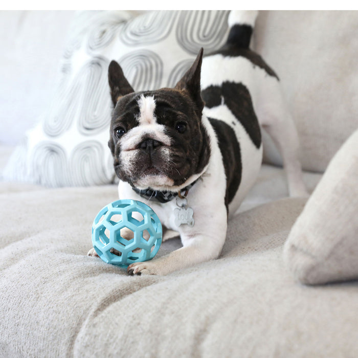 A black and white French Bulldog playfully crouches on a light couch, holding the JW Hol-EE Roller Trend-EE by JW Pet between its front paws, with patterned pillows in the background adding to the fun and mental stimulation.