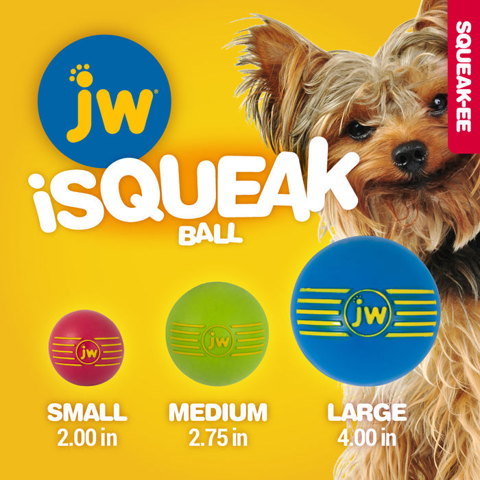 A Yorkshire Terrier sits by three JW Pet JW iSqueak Ball 1packs—small (2.00 in, red), medium (2.75 in, green), and large (4.00 in, blue)—fun rubber dog toys on a yellow background with a SQUEAK-EE label.
