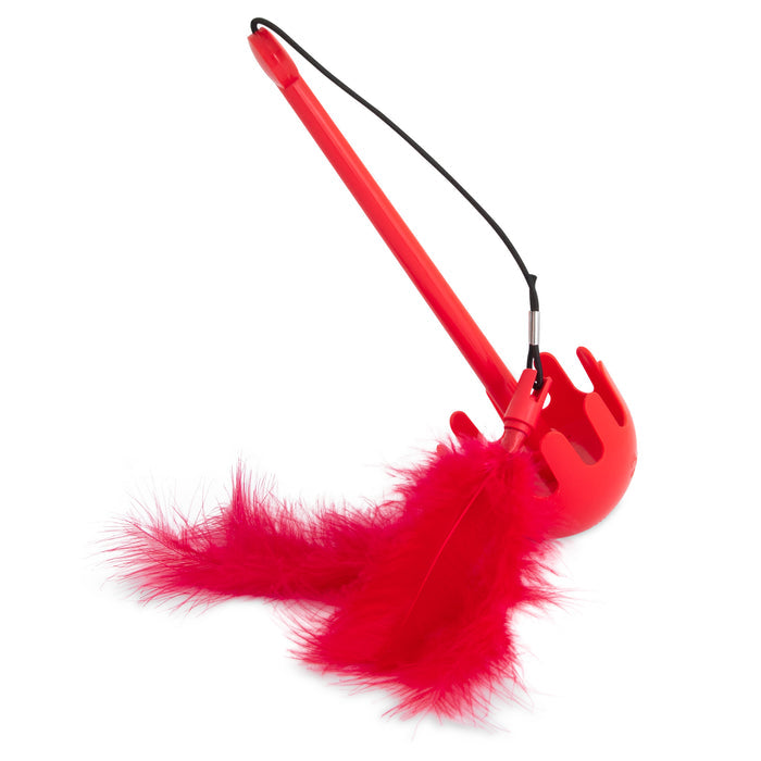 The JW Swatical Cat Toy by JW Pet features a bright red plastic handle with fluffy red feathers attached by a black string, designed to resemble a playful cat feather toy, shown against a white background.