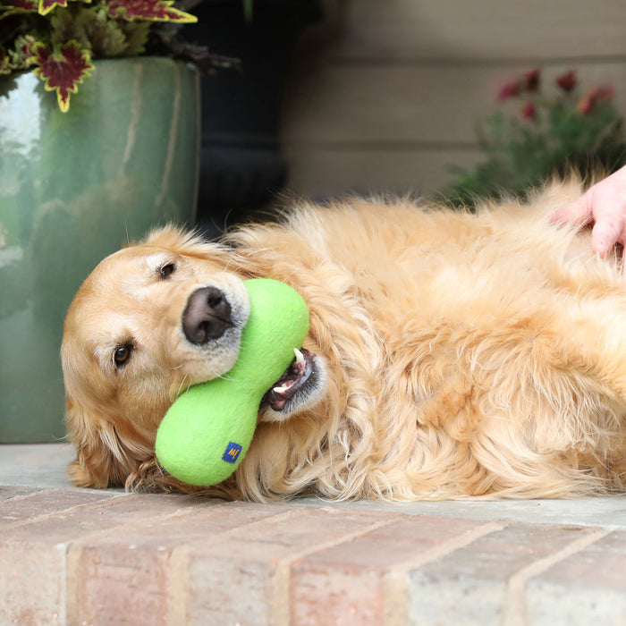 A golden retriever lies on a brick porch with a JW Pet JW Wool-ee Bone toy in its mouth. A hand pets the dog's head, and a large green plant pot is in the background.