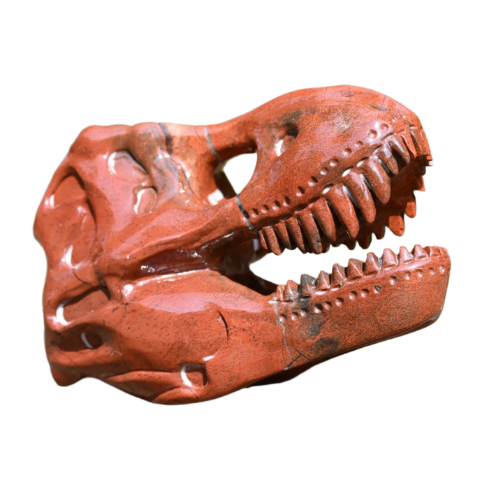 Large Gemstone T-Rex Skull