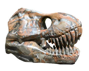 Large Gemstone T-Rex Skull