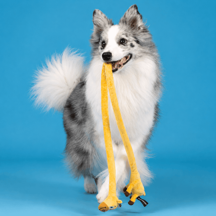 Long Plush Squeaky Dog Toy – Durable Interactive Tug-of-War Chew Toy Fursera