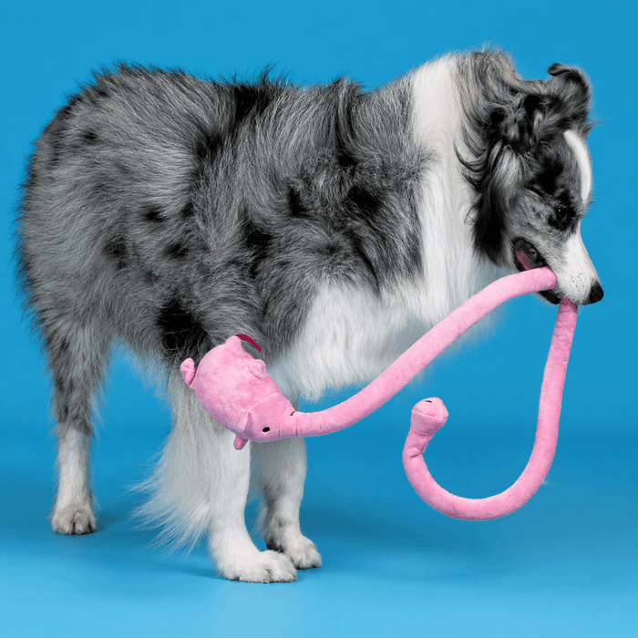 Long Plush Squeaky Dog Toy – Durable Interactive Tug-of-War Chew Toy Fursera