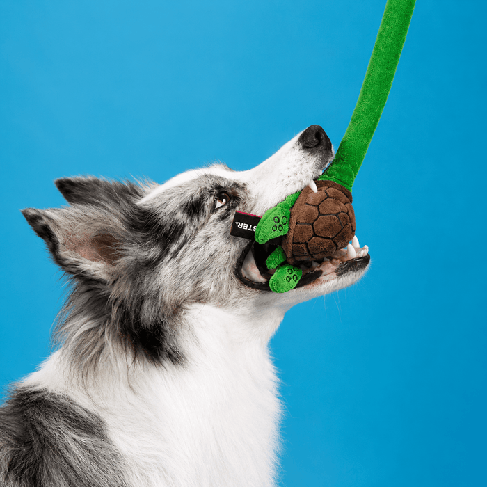 Long Plush Squeaky Dog Toy – Durable Interactive Tug-of-War Chew Toy Fursera